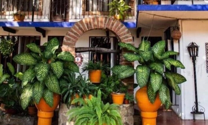 Acapulco Hotel | Hotel Mision y Spa Acapulco