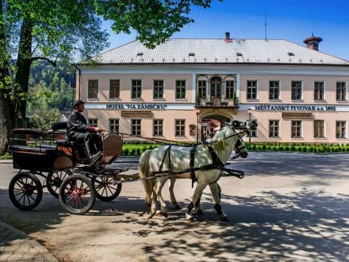 Usti nad Orlici Hotel | Hotel Na Zámečku