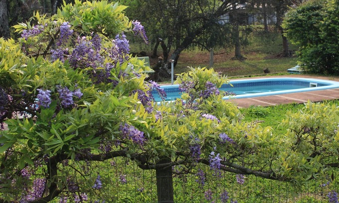 Nova Petropolis Hotel | Hotel Pousada dos Plátanos