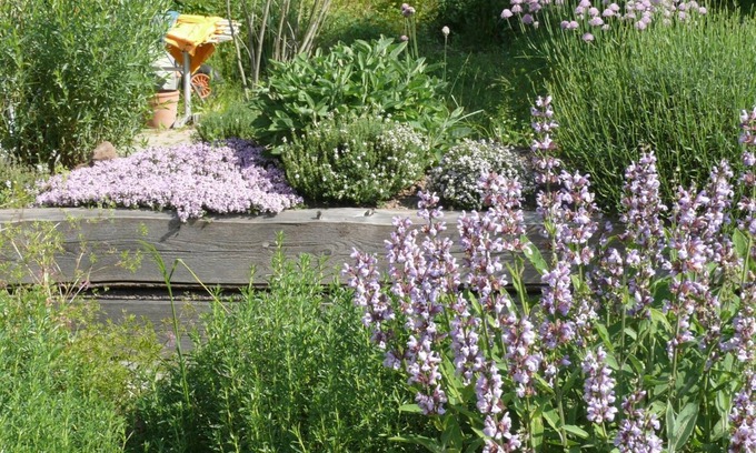 Wallhalben Hotel | Hotel Restaurant Landgrafen - Mühle