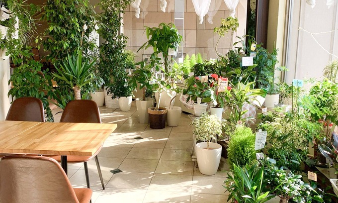 Kitami Hotel | Hotel Royal Kitami