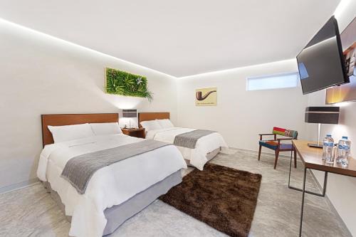 Chetumal Hotel | Hotel Urban 101