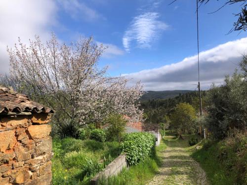 Pedrogao Grande Bed & Breakfast | House Of The Three Marias