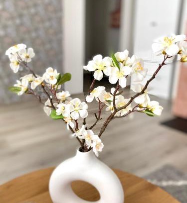 Parnu Apartment | Hubane külaliskorter Pärnus