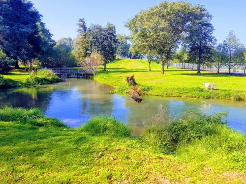 Dafna Apartment | Huge & Private Villa In Kibbutz Dafna