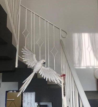 Forli House | I MERISI
