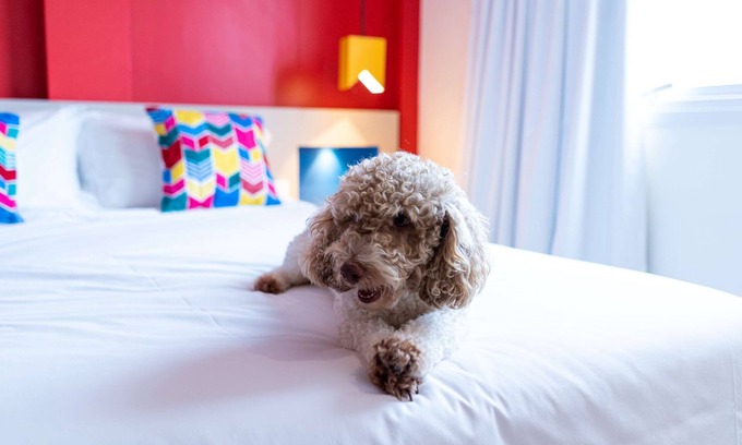 Centro Hotel | ibis Styles Campina Grande
