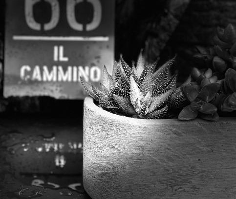 San Quirico d'Orcia Apartment | Il Cammino