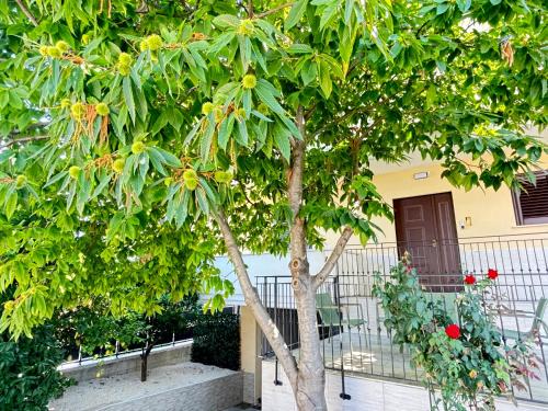 Vasto House | Il Castagno