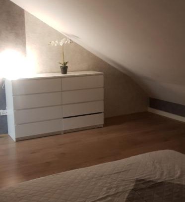 Waldleiningen Apartment | Im schönen Pfälzerwald