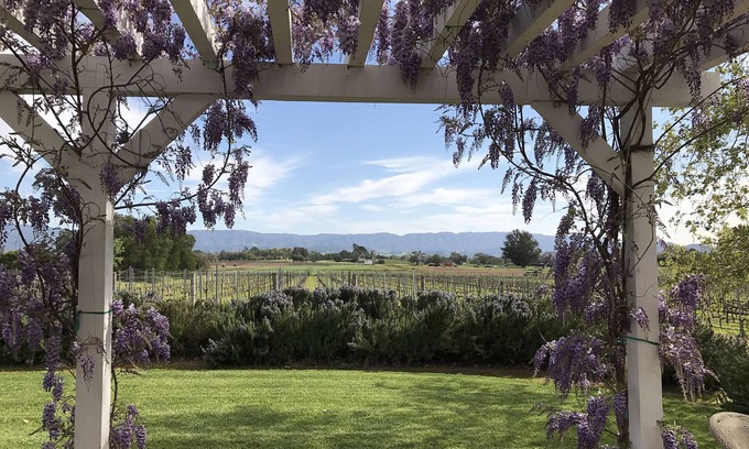 Solvang Cottage | In the Heart of Los Olivos- Luxury Wine Country- on our Vineyard!