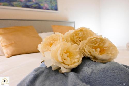 Pisa City Centre Apartment | Inn Pisa Rentals - Pisa Tower Flat