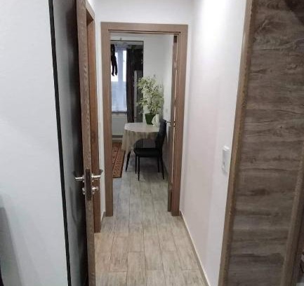 Nisporeni Apartment | Ion