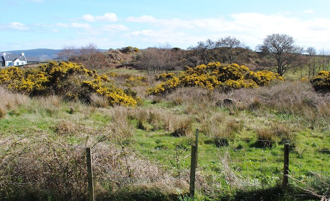 Isle of Gigha Cottage | ISLAND HOPPING FROM ISLE OF ARRAN AND ISLE OF ISLAY