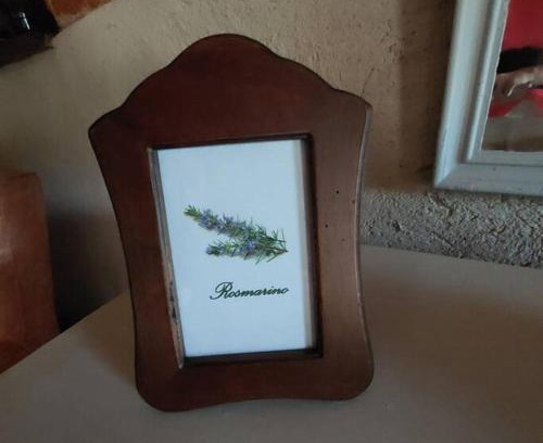 Costigliole Saluzzo Apartment | Istanti - Rosmarino