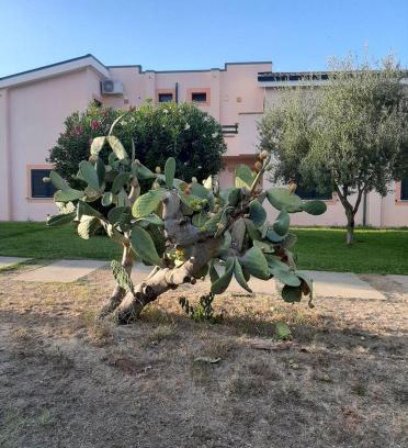 Sant'Andrea Apostolo dello Ionio Apartment | Sole e Mare appartamento nel villaggio