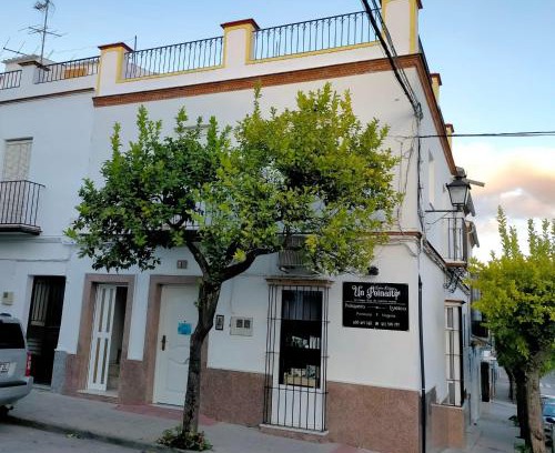 Prado del Rey House | Jacaranda