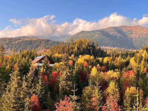 Vysoke Tatry Ski Chalet | Jambrichova chata