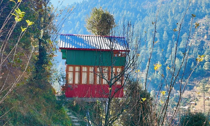 Jibhi Cottage | Jibhi Bliss treehouse Cottage-1