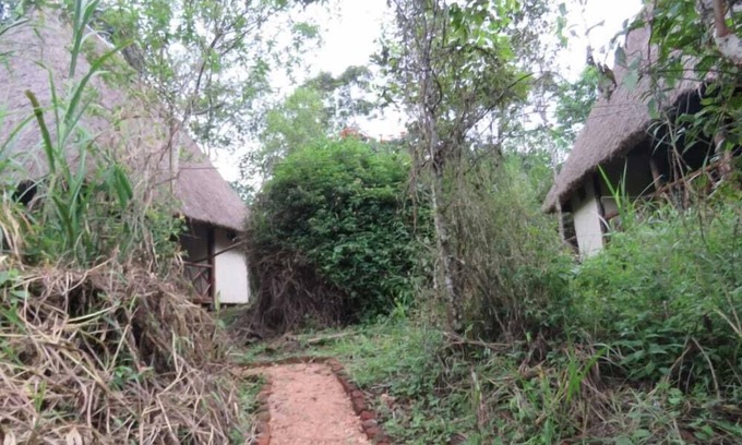 Kitojo Cabin | Jungle lodge Kibale