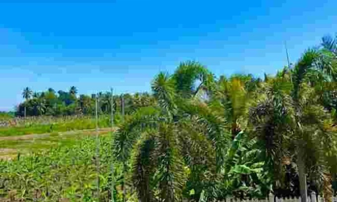 Hambantota Hotel | Kamatha Hotel & Restaurant