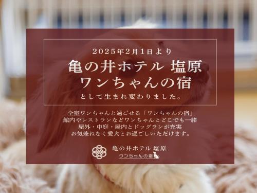 Shiobara Hotel | KAMENOI HOTEL SHIOBARA Dog Friendly Hotel