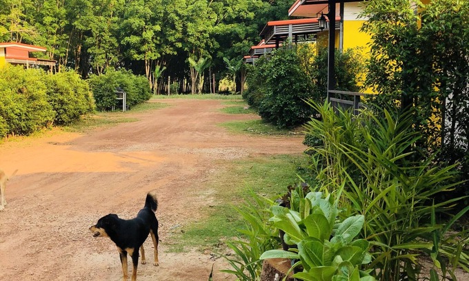 Ban Dung Hotel | Kanyaphat Gardenview Resort