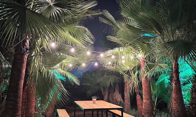 Seyhan Hotel | Kapsül