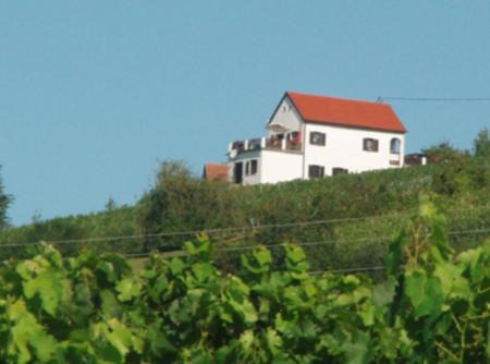 Eisenberg an der Pinka House | Kellerstöckl Eisenberg/Pinka Weiner