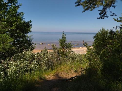 Pieriga Other | Kempings Vārzas