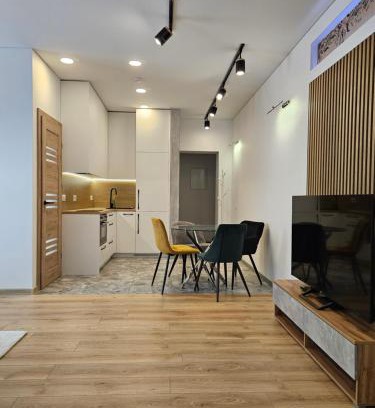 Siauliai City Center Apartment | Kestutis Luxury Appartment