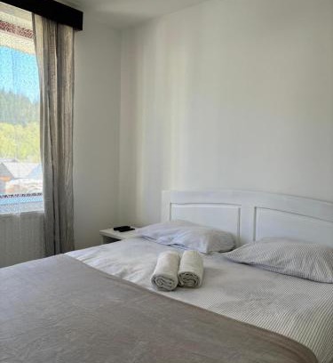 Borsec Apartment | Kiadó apartman
