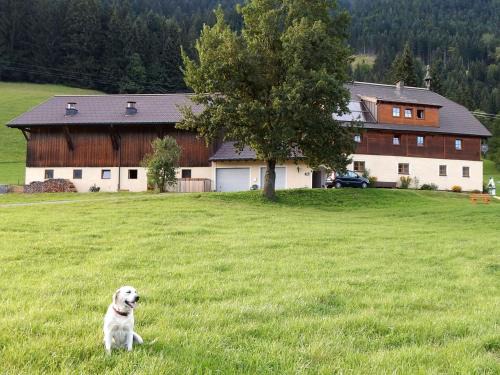 Russbach am Pass Gschuett Apartment | Kiblerhof