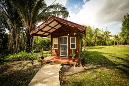 Franks Eddy Hotel | KikiWitz Resort