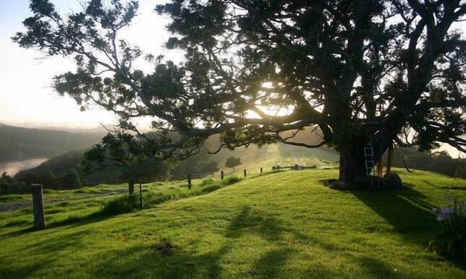 Little Forest Cottage | Kilfeacle Farm Cottage - Relaxing View
