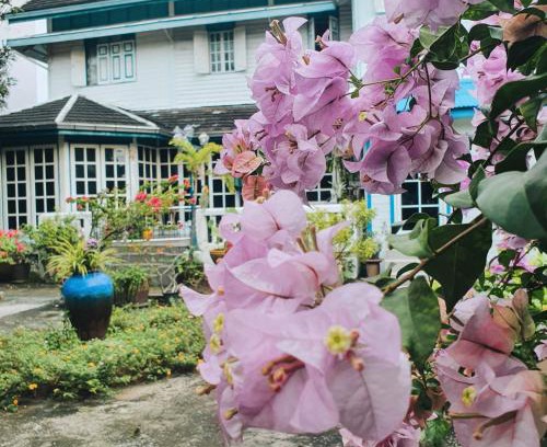 Wat Kanlaya Bed & Breakfast | KINN Stay50 Bangkok