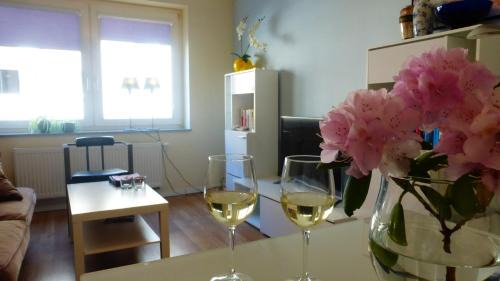 Nord-Mitte Apartment | Kleines Studio Albatros