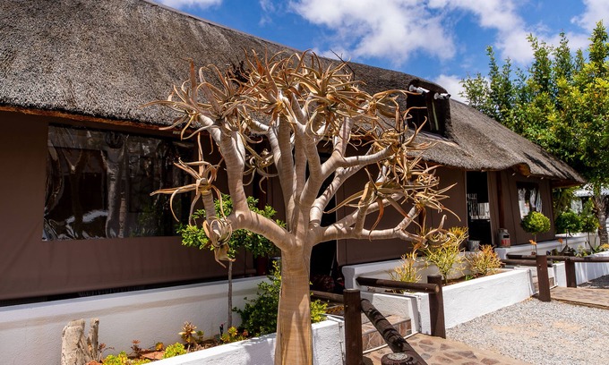 Springbok House | Kleinplasie Guesthouse
