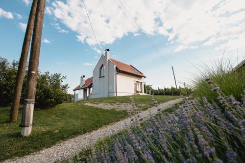 Selnica House | Kuća za odmor Vlahek