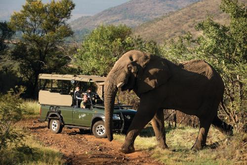 Pilanesberg National Park Hotel | Kwa Maritane Lodge