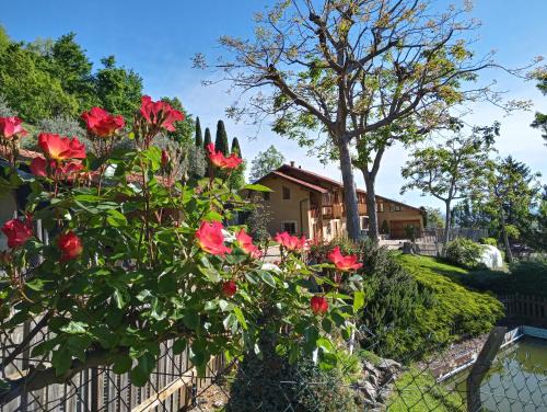Costigliole Saluzzo Bed & Breakfast | L'Albore