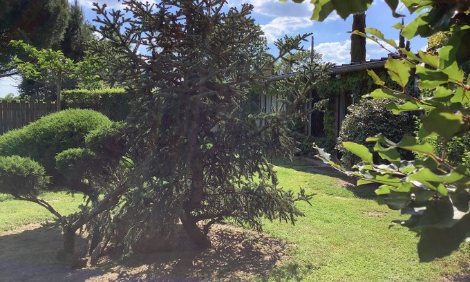 Lorris Cottage | L'Atelier, nature on the horizon