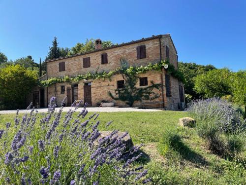 Serrungarina Bed & Breakfast | L'Infinito