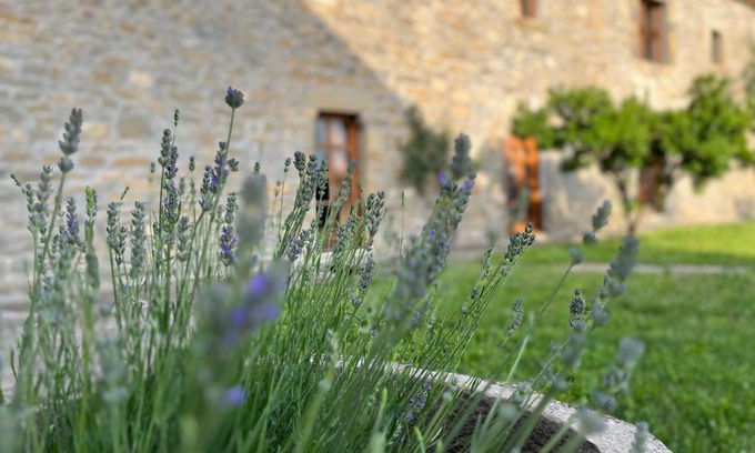 Coscojuela de Sobrarbe House | La Abadia