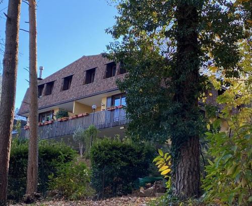 Appiano Gentile Apartment | LA CASA NEL BOSCO, DI MARI