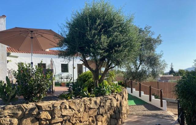 Cartama Apartment | La Casa Palmera - Caminito Del Rey