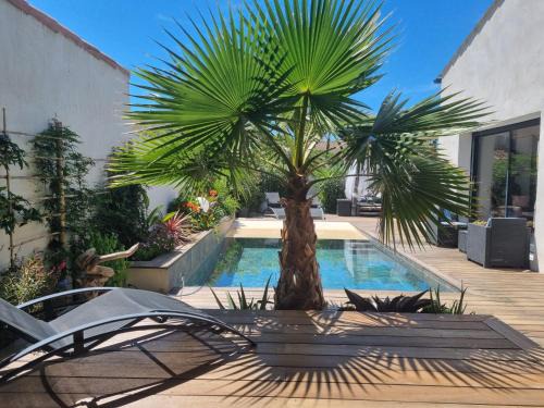Aigues-Mortes Bed & Breakfast | La Chambre Côté Piscine