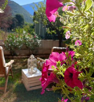 Nave Apartment | La Civetta appartamento con giardino e parcheggio