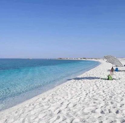 Vada Apartment | La Conchiglia sul Mare