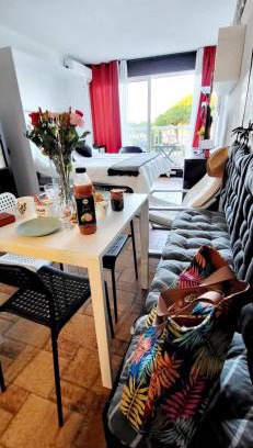 Le Grau-Du-Roi Apartment | La Croisière Nice view renovated studio air-conditioned parking balco